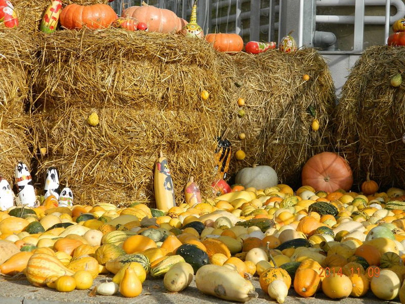 Simpozionul de Agro Economie si Antropologie rurala